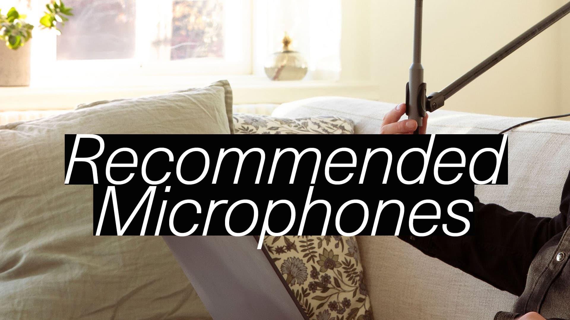 calibration microphone